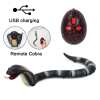 🔥Last Day Promotion 50% OFF🐍High Imitation Snake Animal Funny Toy - Buy 2 Free Shipping