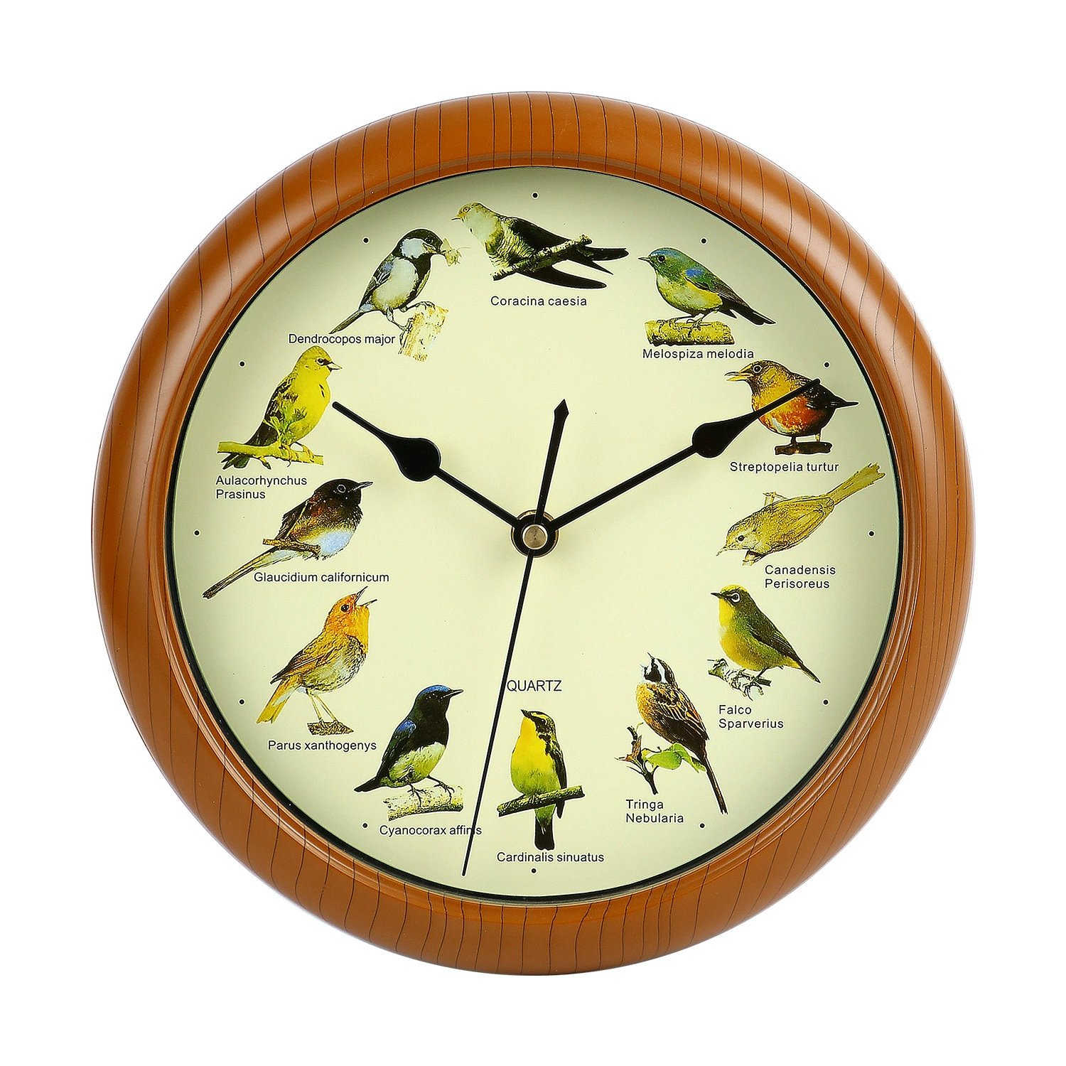 💥Spring Hot Sale 49% Off 💥Singing Bird Wall Clock