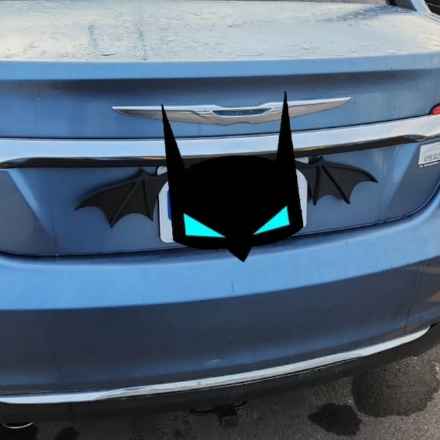 License Plate Bat Wings (Universal Fit)