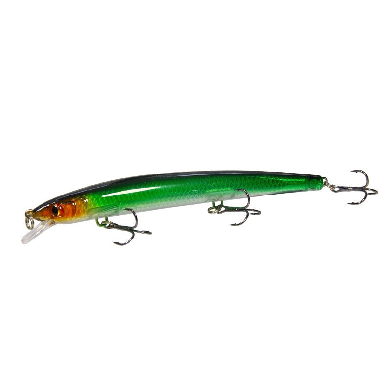 Minnow Fishing Lure