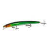 Minnow Fishing Lure