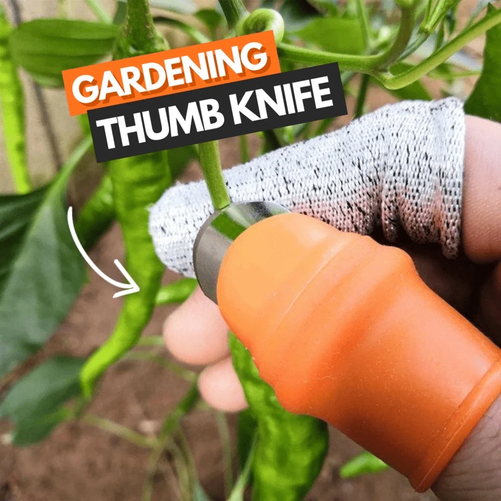 (🔥Last Day Promotion- SAVE 48% OFF)Harvesting Thumb Knife--buy 5 get 5 free & free shipping（10pcs）
