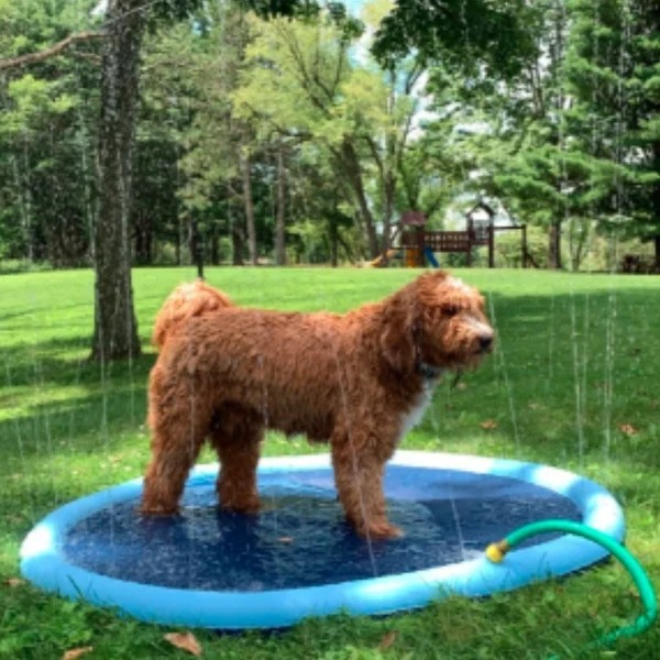 🐶Cool Canine: The Dog Sprinkler Mat for Hot Days