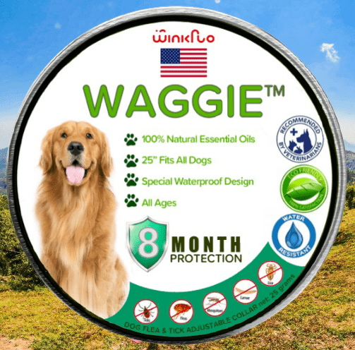 Last Day Promotion 48% OFF - Natural Anti-Flea, Tick, & Mosquito Collar (Safest 8+ Months Protection)