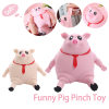 BUY 2 FREE SHIPPING-Funny Pig Pinch Toy