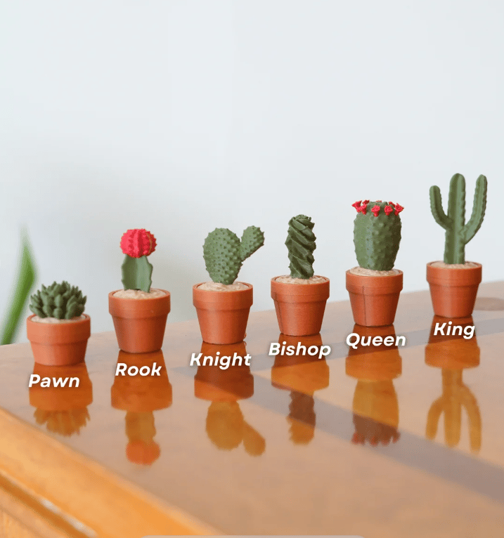 ⏰LAST DAY SALE 50% OFF🔥Cacti Chess