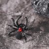 🔥Last Day Promotion - 60% OFF🎁💍🕷️Dark Style Halloween Personalized Spider Ring