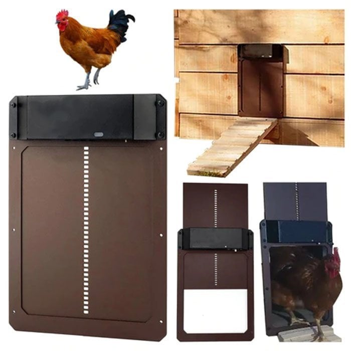 🎉LAST DAY 49% OFF🎉 - Automatic Chicken Coop Door