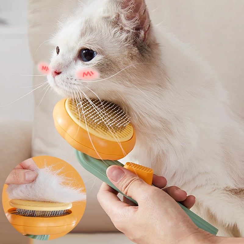 🔥(Last Day Promotion - 50% OFF) 🐈Pumpkin Pet Comb, BUY 2 FREE SHIPPING