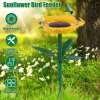 Last Day 49% OFF  🌻Sunflower Standing Bird Feeder