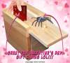 (Last Day Promotion - 50% OFF) Super Funny Crazy Prank Gift Box Spider, Buy 3 Get 3 Free & Free Shipping🔥