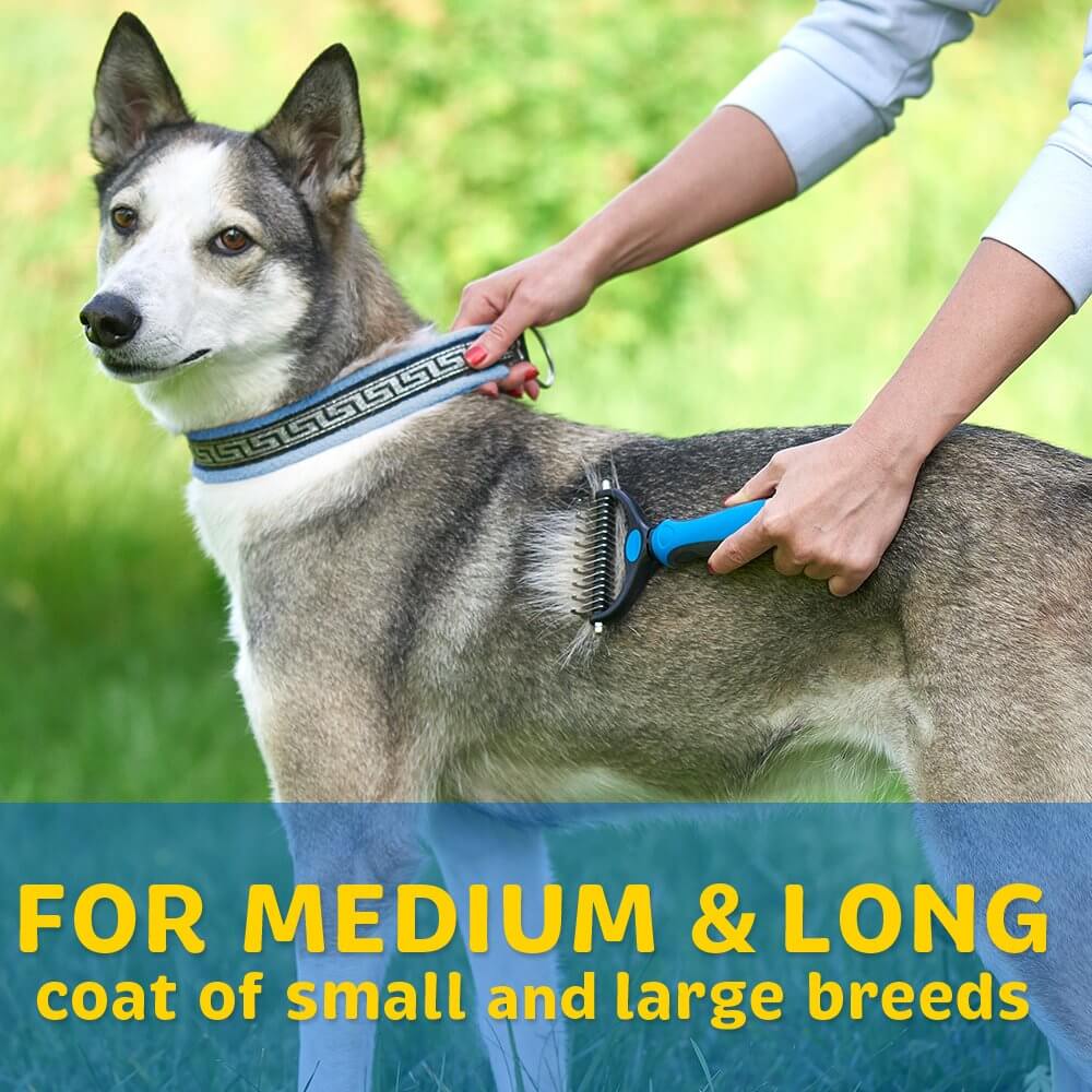 Professional Deshedding Tool for Dogs and Cats - Buy 2 Free Shipping