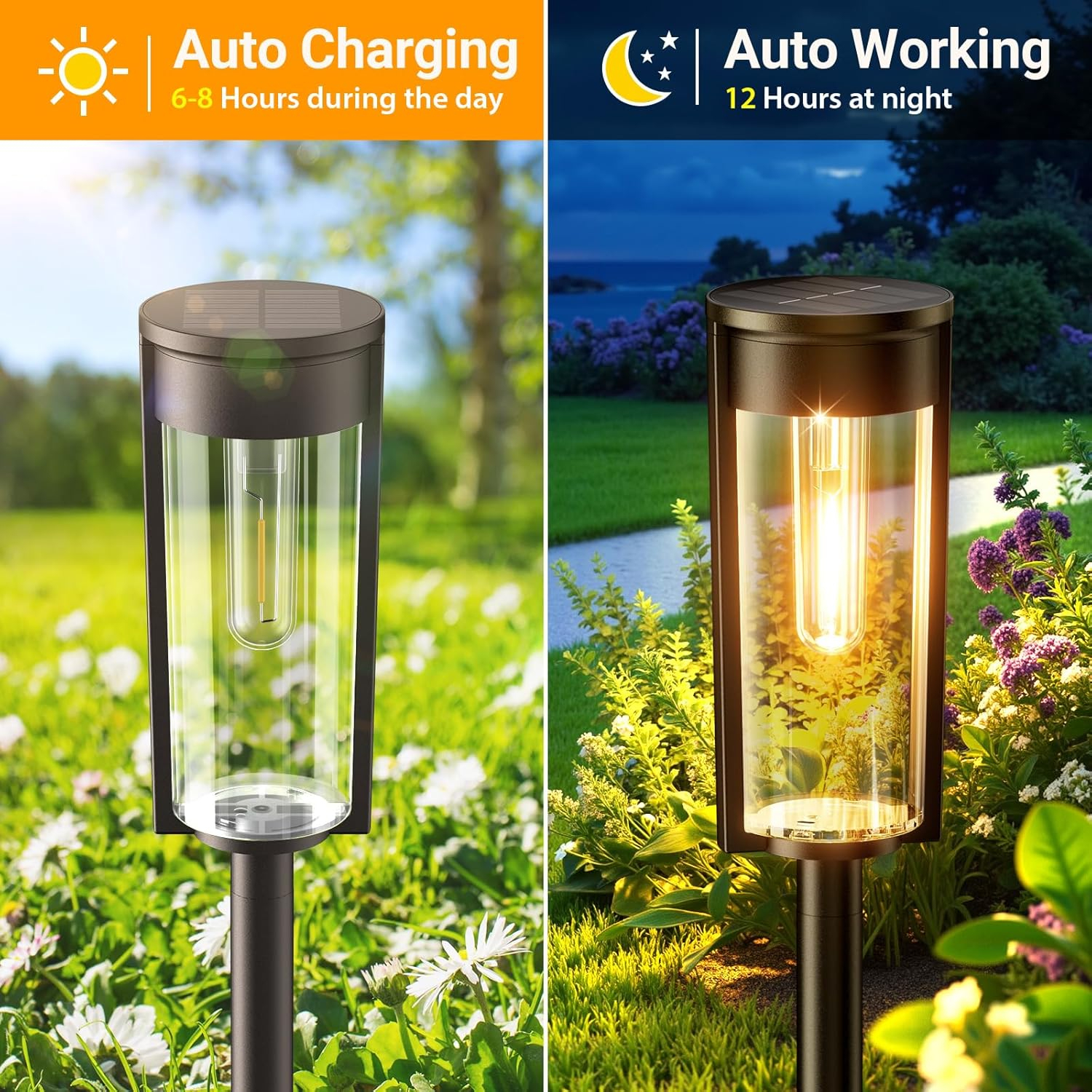 🔥Last Day Promotion 50% OFF💥Solar Pathway Lights