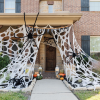 🔥🕷EARLY HALLOWEEN SALE - Uocsptt™ Spider Web Halloween Decorations Outdoor & Red-eyed spider