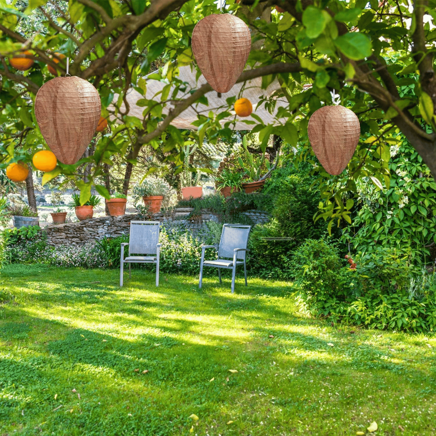 🔥LAST DAY 50% OFF🔥Retisee Wasp Deterrent Nest