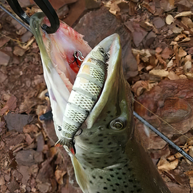 🎣 Summer Sale-50% OFF🐠FishWishRod™- Lifelike Swimbait