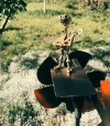 🥁🎸Handmade Metal Rock Band Windmill✨(Includes a 70CM Bracket)