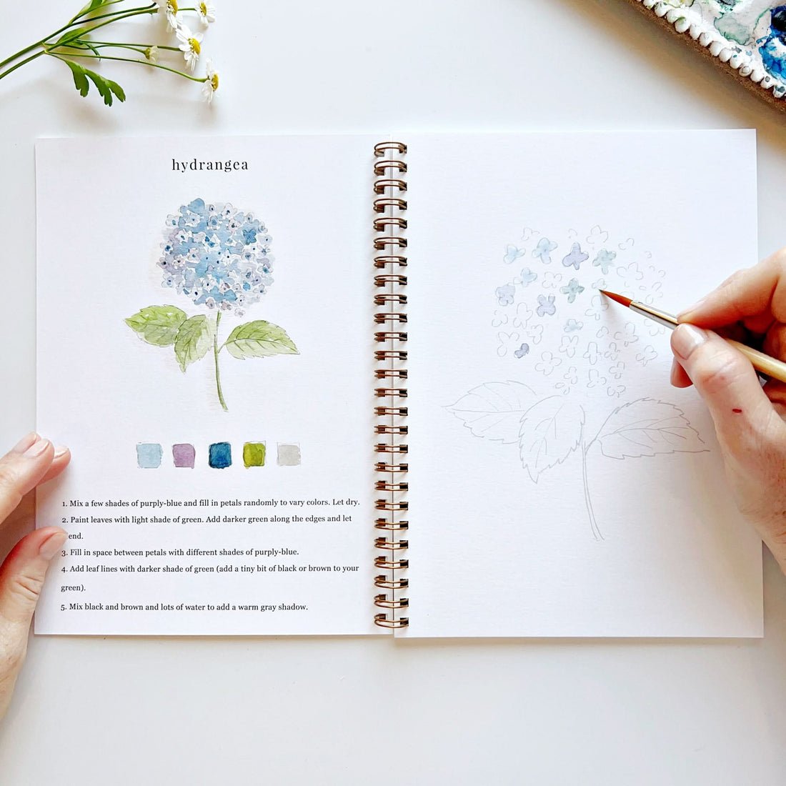 💐Flowers Watercolor Workbook