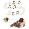 🔥 Last Day Sale 50% Off  ⏰ Interactive Chirping Bird Cat Toy 🐧