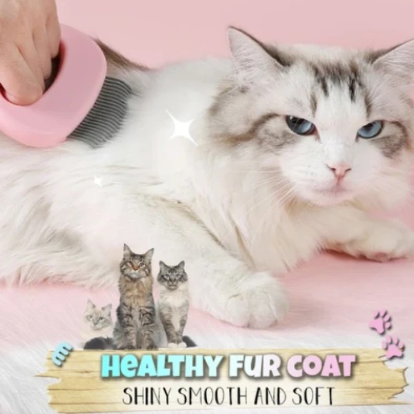 Last Day Promotion 48% OFF - Pet Hair Removal Massaging Shell Comb(buy 2 get 1 free）