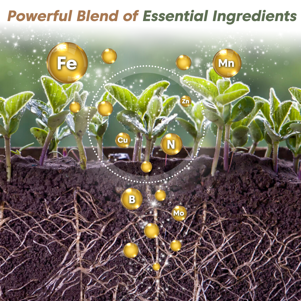 🎁Last Day Promotion- SAVE 70%🔥RootBoost Nutrient Powder