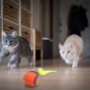 🔥Letzter Tag Verkauf 49% Rabatt🔥Katzenball Version 2.0