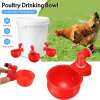 🔥Last Day Promotion 50% OFF💗Automatic Chicken Water Cup Bird Coop