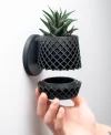 🌼Wall Bloom Planters