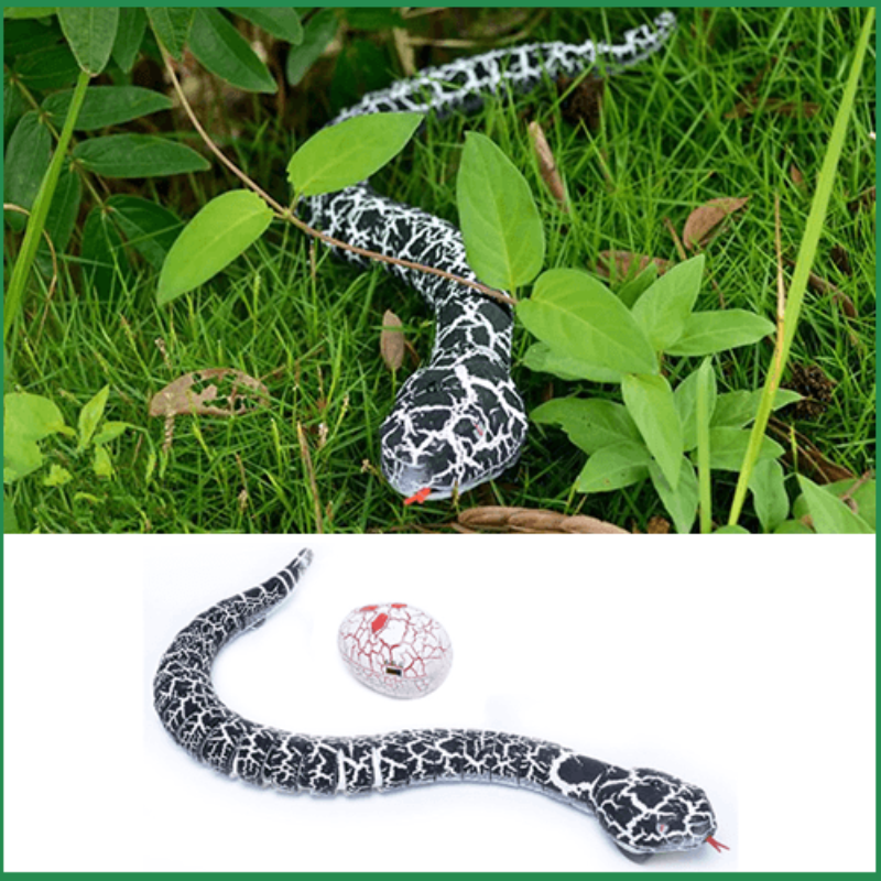 Remote Control Rattle Snake Toy