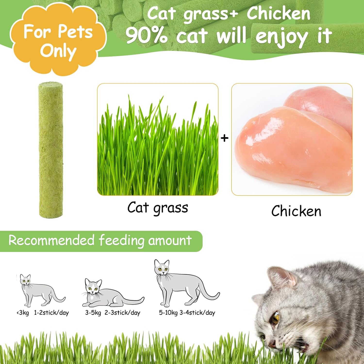 Cat Grass Teething Stick