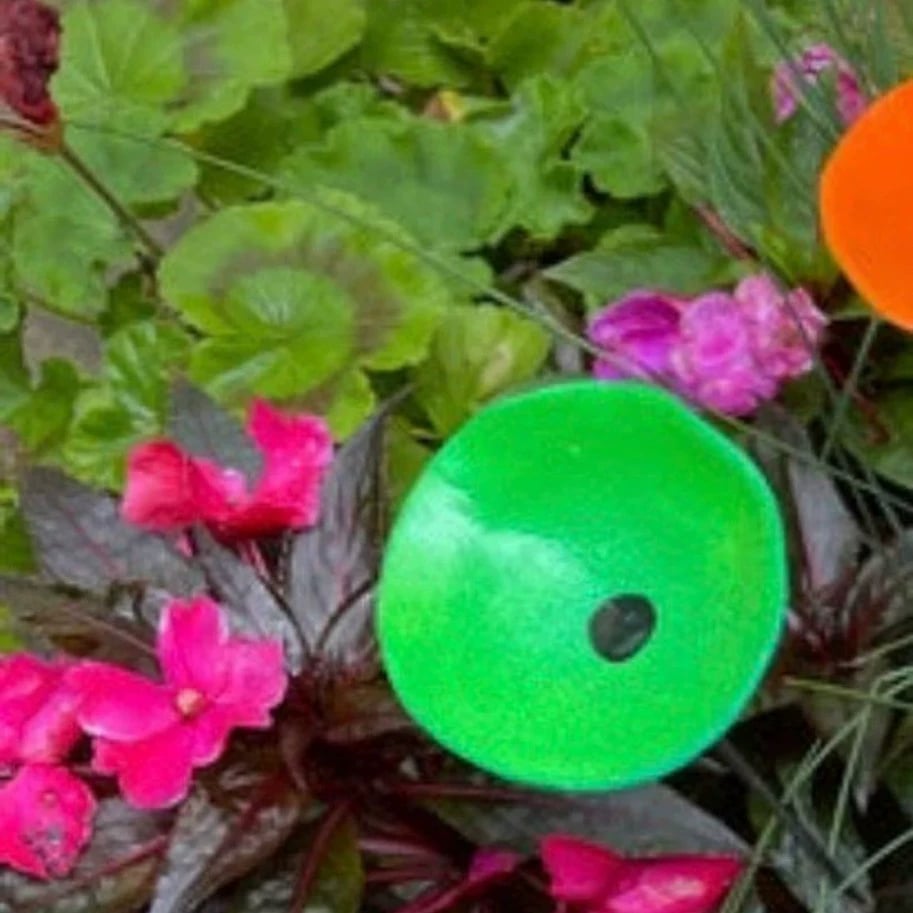 🎖️July 4th Flash Sale: 70% OFF Sitewide! 🐝Bee Watering Station,🦋Butterfly Puddler,Hummingbird Drinking Cups