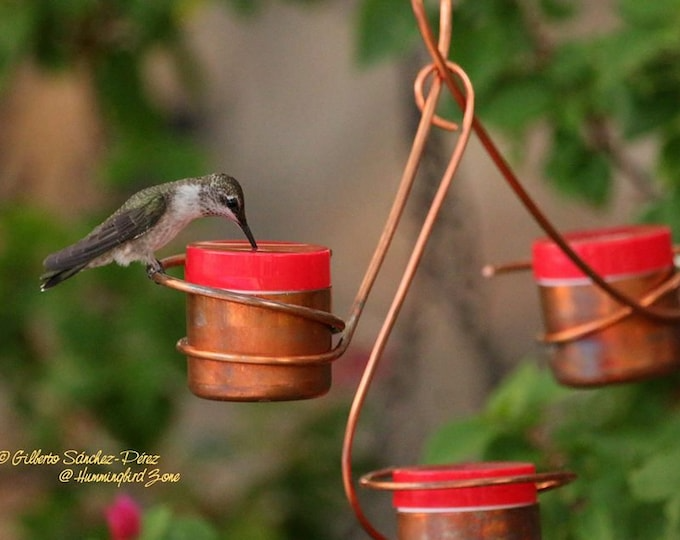 💝2023 Mother's Day Save 48% OFF🎁Bee-Proof Copper Hummingbird Feeder(BUY 3 GET FREE SHIPPING&EXTRA 20% OFF)