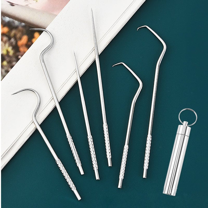 🔥LETZTER TAG 50 % RABATT-Zahnstocher Set aus Edelstahl (7 Stück)