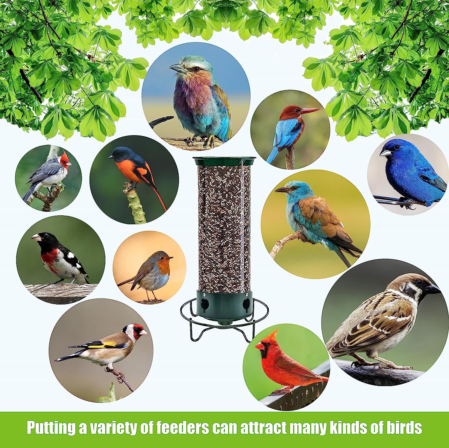 (🔥Last Day Promotion 49% OFF🔥)Squirrel-Proof Bird Feeder(Buy 2 Get Extra 10% OFF Now)