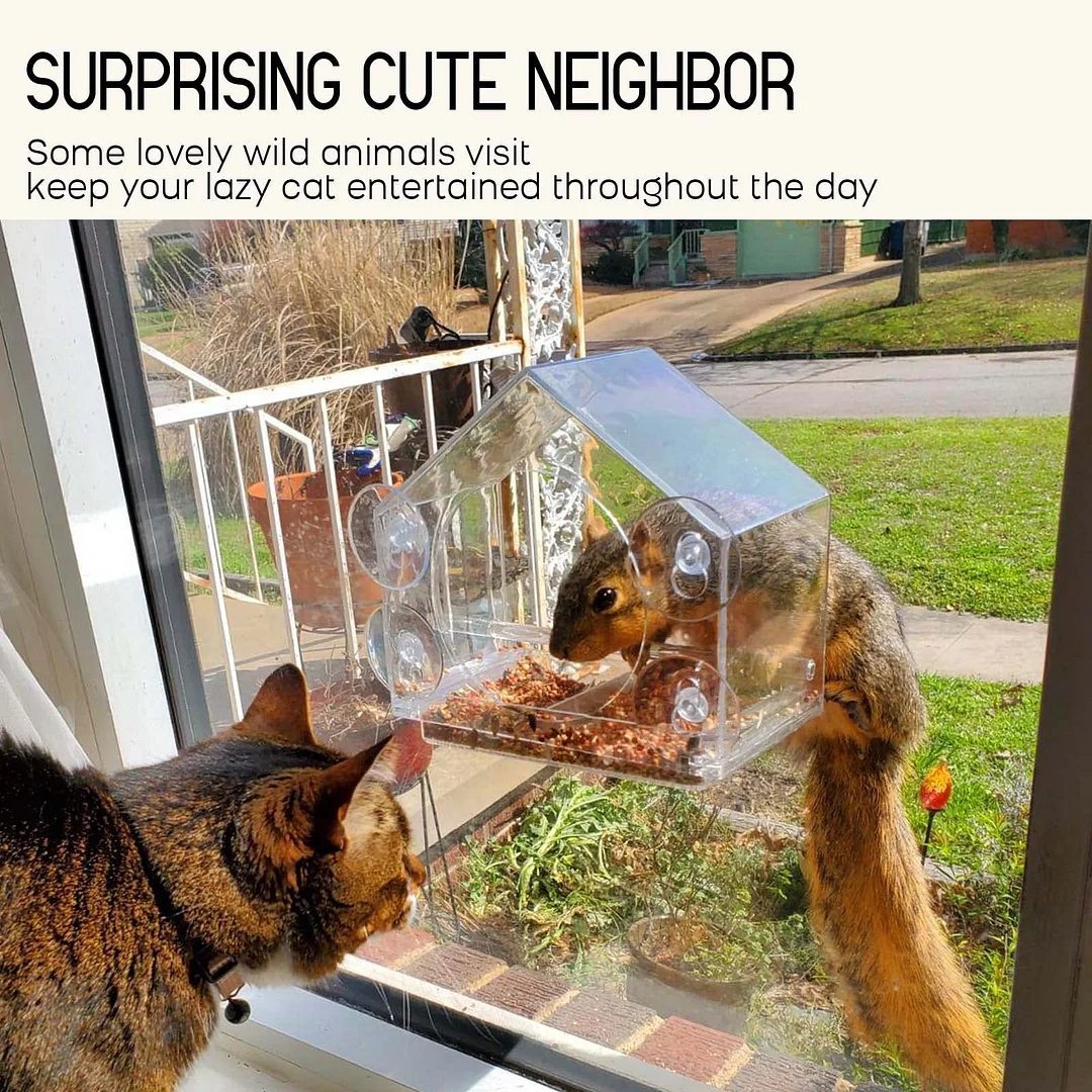 🌸Spring Sale Save 49%--Window Bird Feeder for Outside
