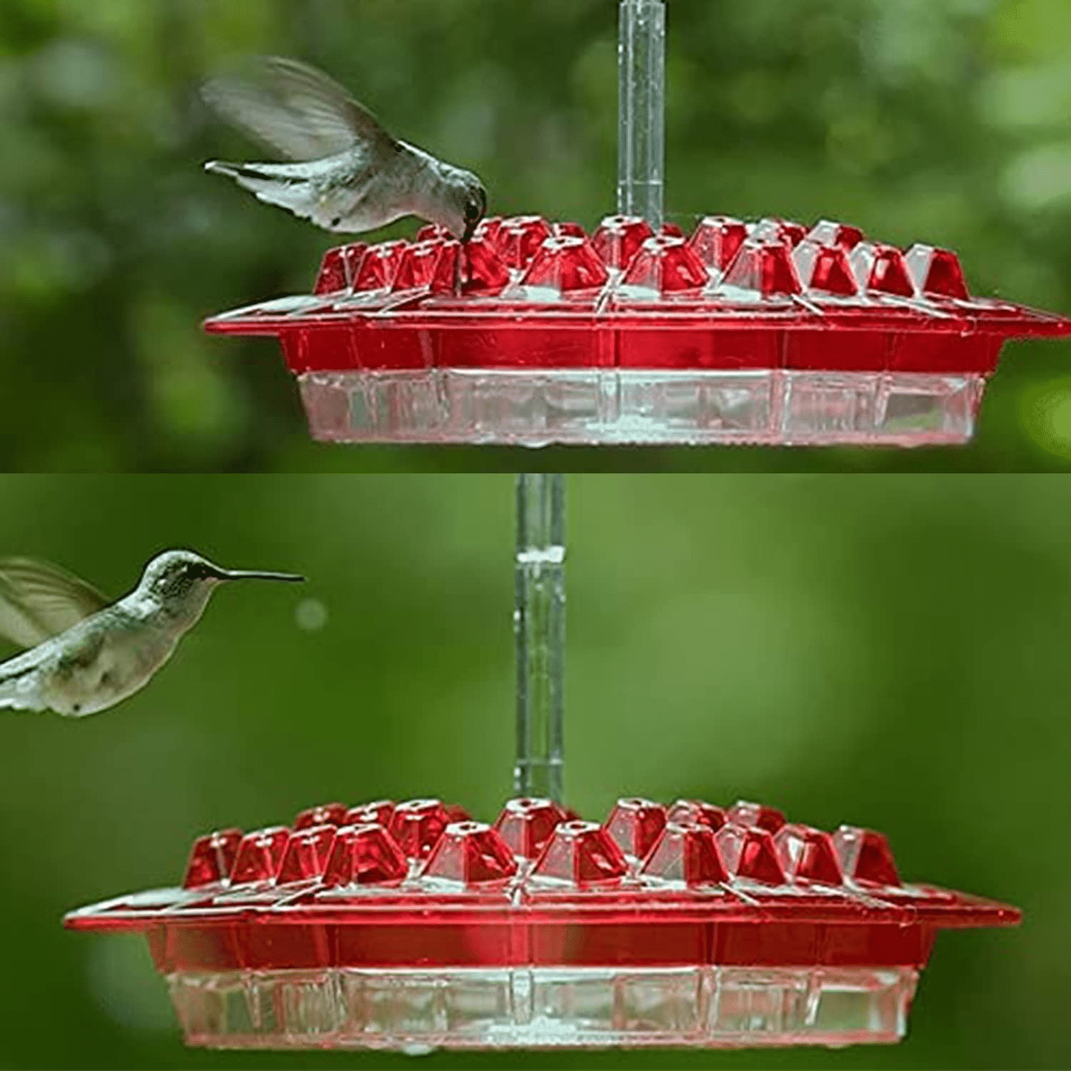 🐝Halloween Limited Time Offer: Hummingbird Feeder with Perch and Built-in Ant Traps✔️97.5% of customers purchased 2 or more. 😍