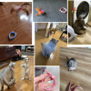 💗Mother's Day Sale 80% OFF💖Interactive Funny Cat Toys👍👍BUY 5 GET 3 FREE--8PCS