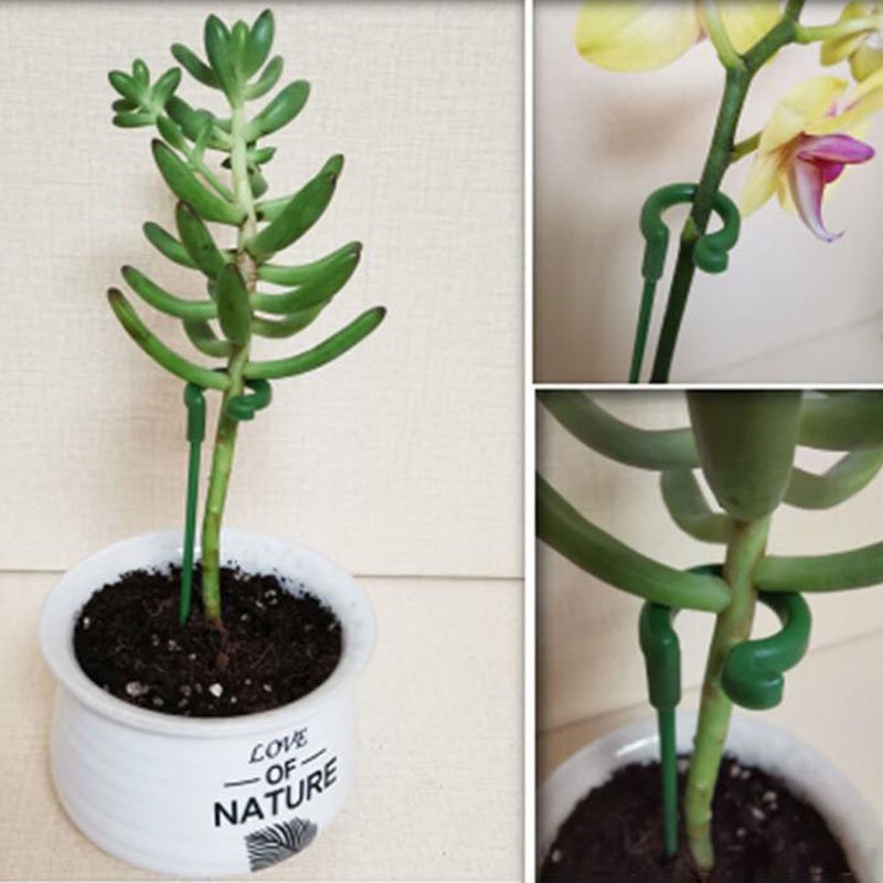 🔥(Last Day Promotion - 49% OFF) Plant Support Stake(10 PCS)