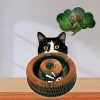 Un acheté, un offert !🔥Planche à gratter pour chat, jouet pour chat avec clochette🐾🐾