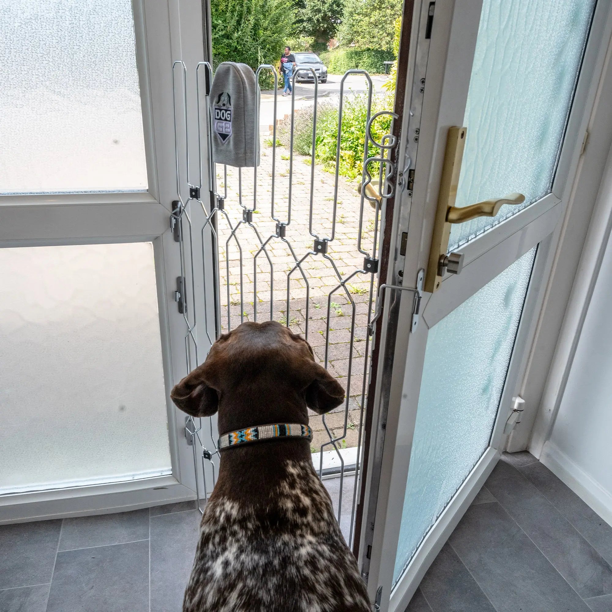 Retractable Dog Gate for Front Doors