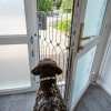 Retractable Dog Gate for Front Doors