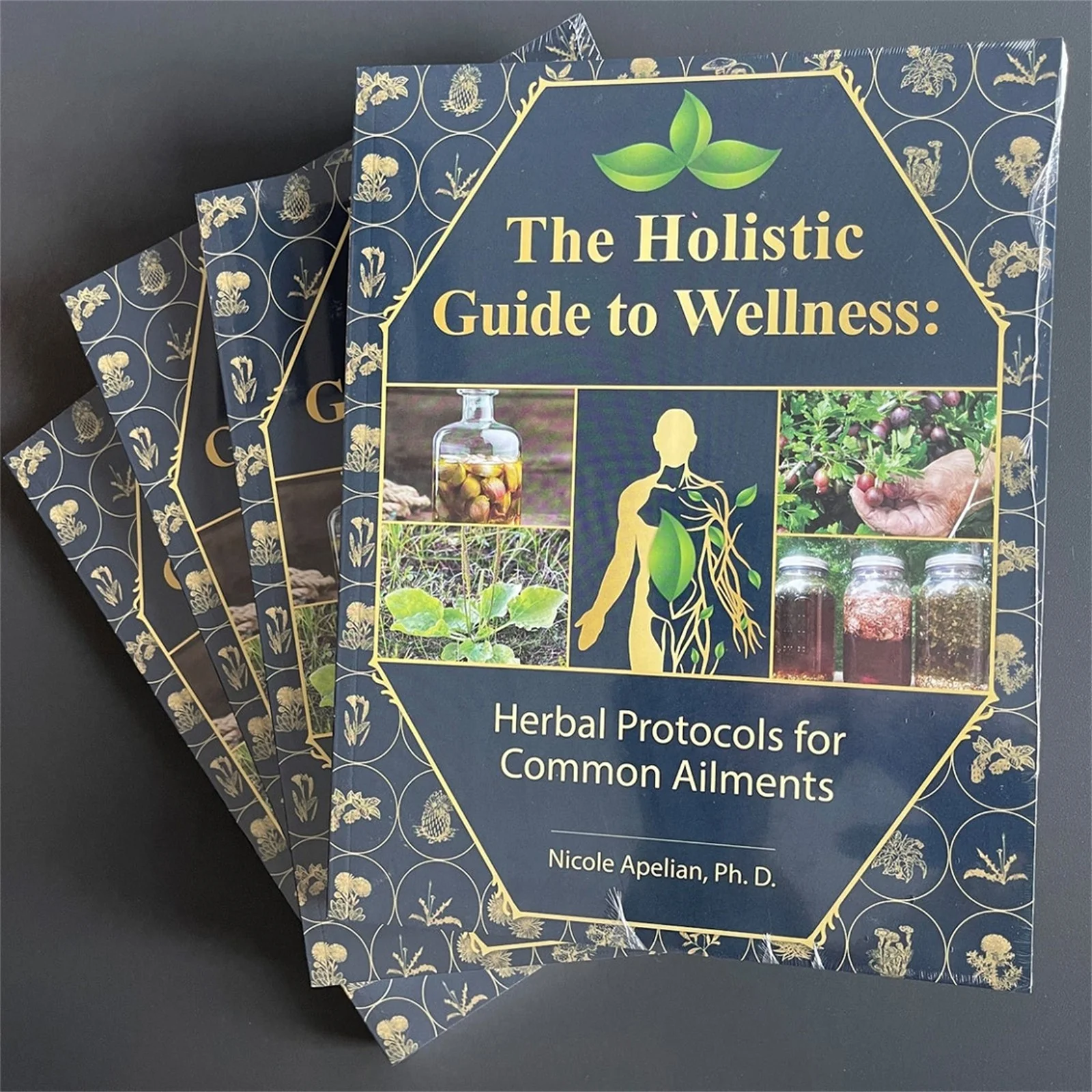 The Holistic Guide to Wellness : Herbal Protocols for Common Ailments