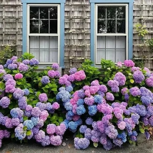 Flores De Hortensias Artificiales Al Aire Libre💐