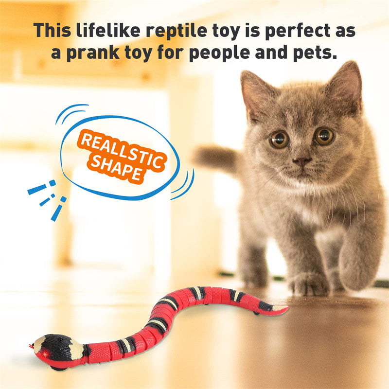 Interactive Snake Cat Toy