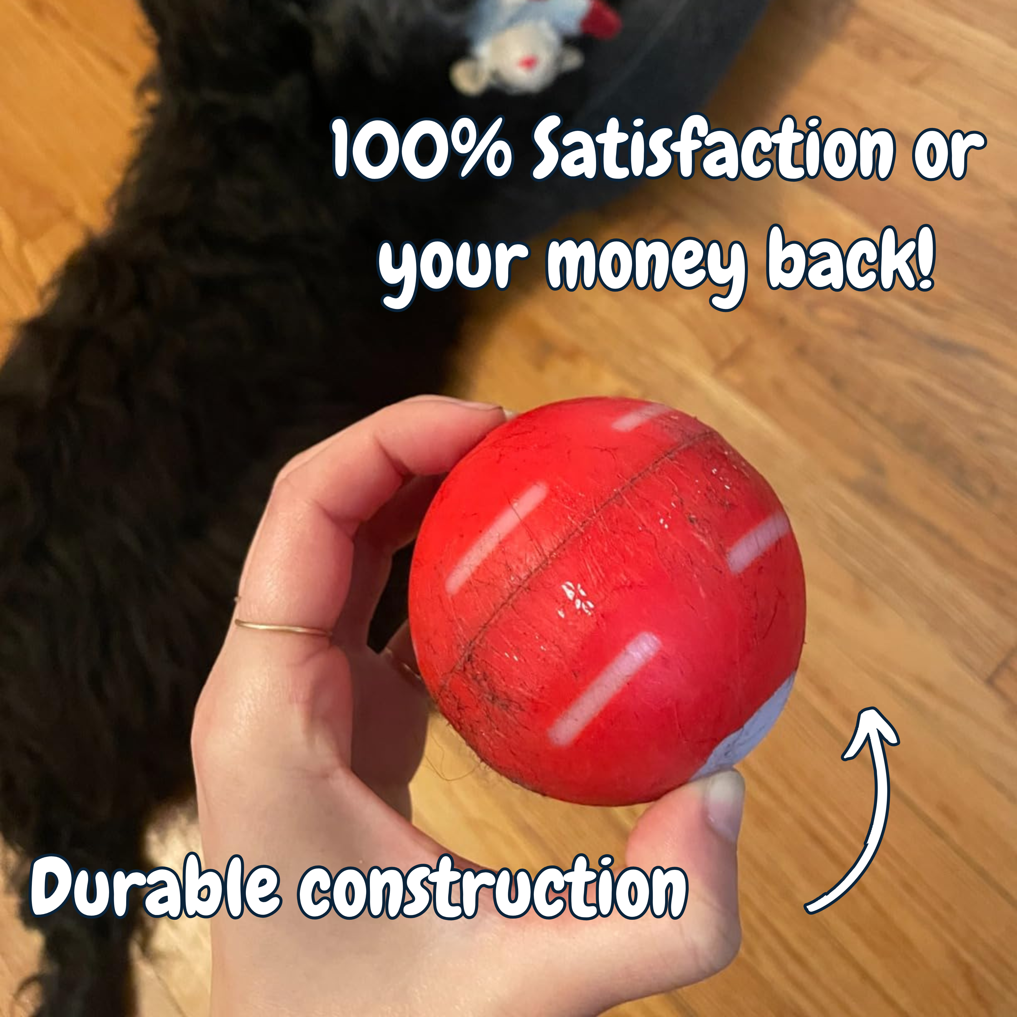 (🔥Last Day Promotions - 49% OFF) Chewie Viral Bouncing Ball