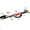 SHOCKSTRAP® Ratchet Strap（𝐒𝐭𝐞𝐯𝐞 𝐑𝐨𝐬𝐬 𝐑𝐞𝐜𝐨𝐦𝐦𝐞𝐧𝐝）