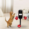 🔥Last Day Promotion 70% OFF🥊Cat Boxing Toy⚡️Buy 2 Free Shipping