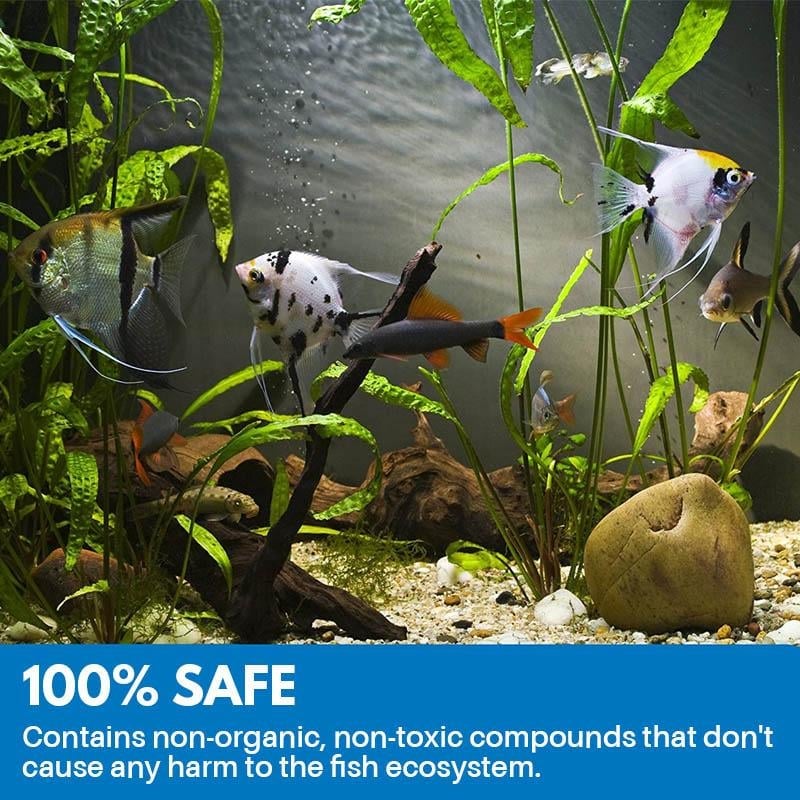 (🔥Hot Sale- 49% OFF)  100% Safe Eco-Aquarium Purifying Powder (5pcs)