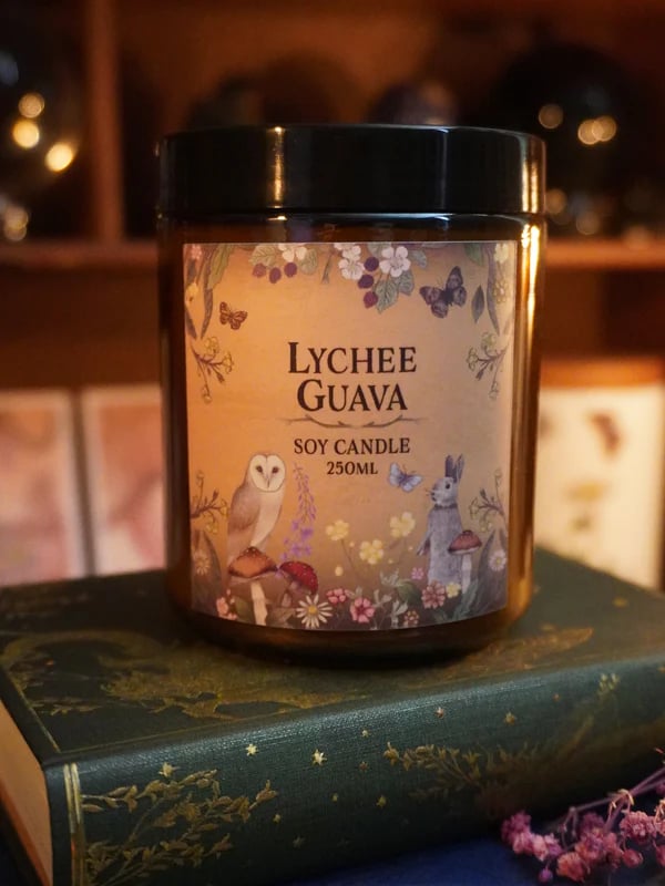 ⏰Limited-Time Offer🧙📦️Mystery Witch Box🎁(💥$100 Value!)