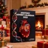 🔥Last Day 50% OFF -🎄2025 Anatomy Advent Calendar